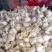 【苔蒜】精品川蒜红皮大蒜诚信经营基地直供欢迎咨询