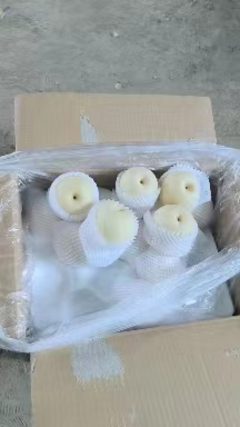 精品皇冠梨对接电商市场商超等各类客户