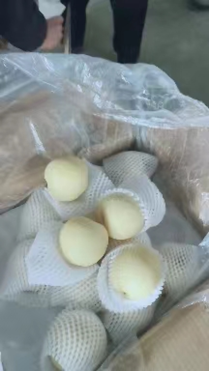 精品皇冠梨对接电商市场商超等各类客户