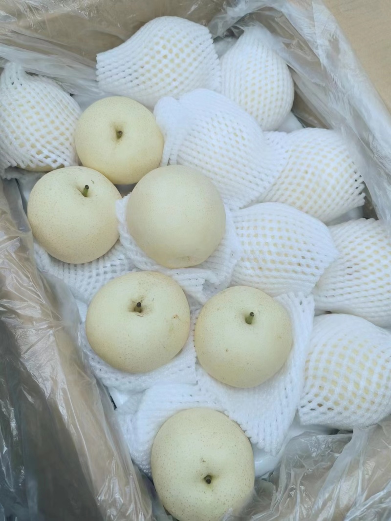 精品皇冠梨对接电商市场商超等各类客户