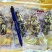 辽参品质保证大量供货中欢迎咨询合作
