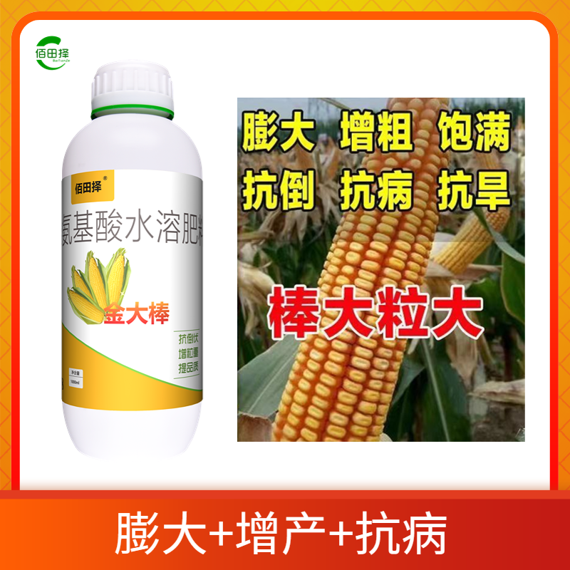 玉米专用肥金大棒促根壮苗早熟强株耐旱涝抗倒伏氨基酸水溶肥