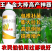玉米专用肥金大棒促根壮苗早熟强株耐旱涝抗倒伏氨基酸水溶肥