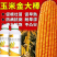玉米专用肥金大棒促根壮苗早熟强株耐旱涝抗倒伏氨基酸水溶肥