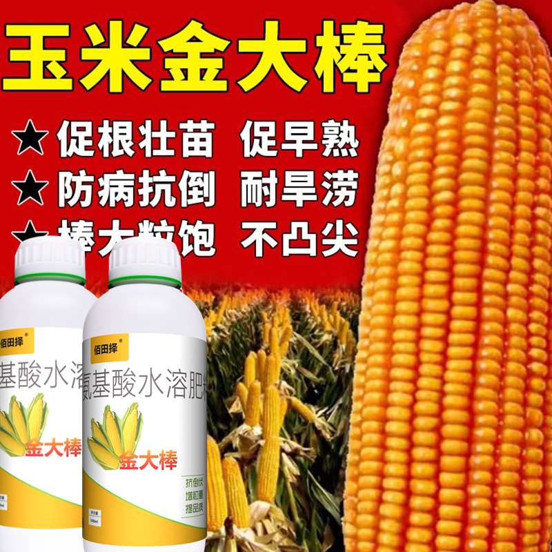玉米专用肥金大棒促根壮苗早熟强株耐旱涝抗倒伏氨基酸水溶肥