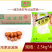 津津波波肠麻辣烫关东煮火锅串串香丸子商用冷冻食材