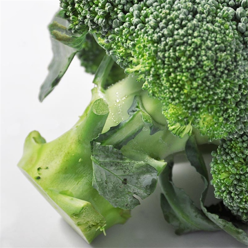 绿冠303西兰花种子早熟65天抗病花椰菜夏秋播10克