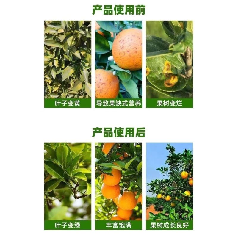 叶绿素叶面肥生根提苗绿叶片增厚增绿花卉果树蔬菜通用农用水