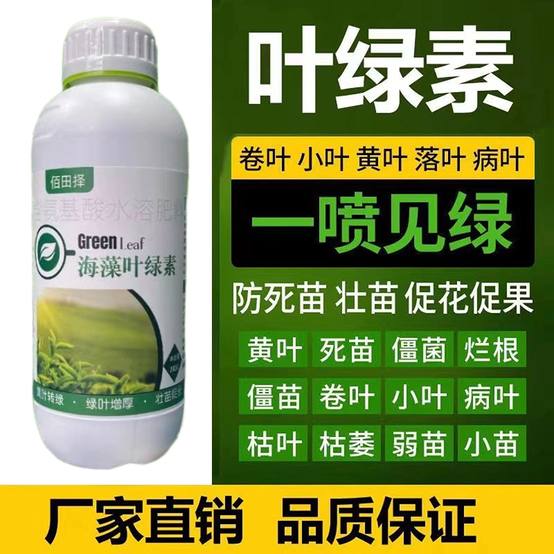 叶绿素叶面肥生根提苗绿叶片增厚增绿花卉果树蔬菜通用农用水