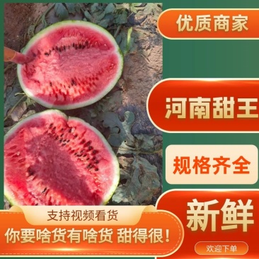 河南商丘产区，陆地甜王，即将大量上市，产地代发，质量**
