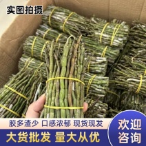 新鲜铁皮石斛每天都有现货大量批发胶质好粗胖长条短条都有一