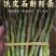 新鲜铁皮石斛每天都有现货大量批发胶质好粗胖长条短条都有一