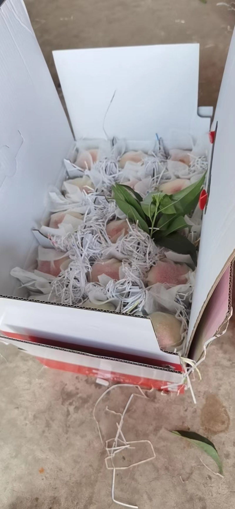 龙泉驿水蜜桃，一件代发，量大质优价格优惠