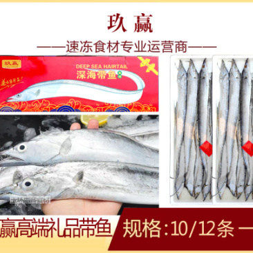 玖赢高端礼品带鱼（10/12条）商用半成品带鱼餐饮食材