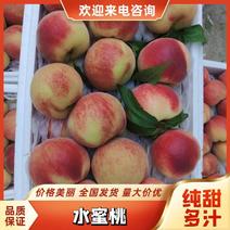 安徽砀山水蜜桃突围桃口感香甜果形端正一手货源