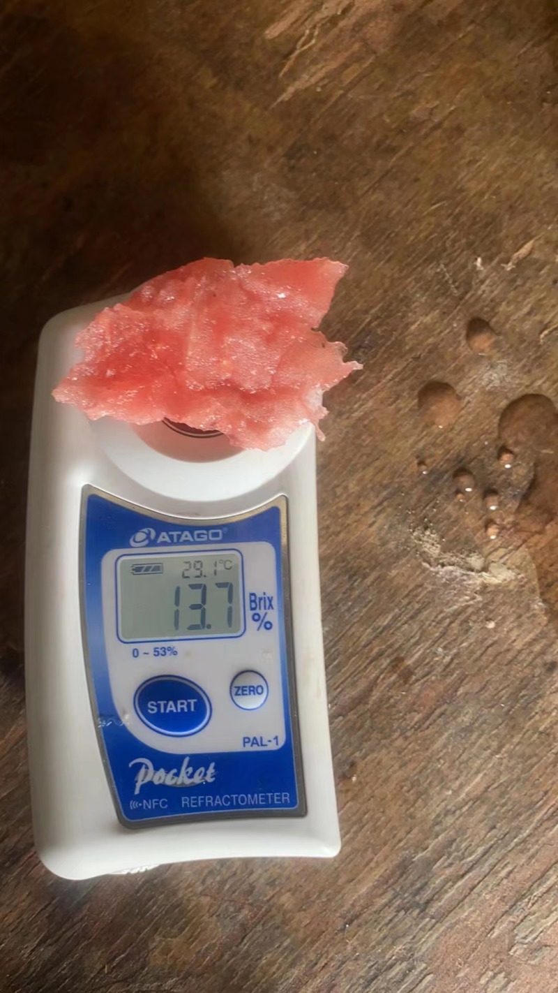 江苏美都西瓜基地种植量大质优价格优惠欢迎采购