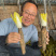 金玉兰根菜苗菊苣根玉兰根软化菊苣根