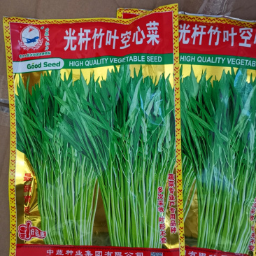 光杆竹叶空心菜种子长叶型植株直立口感脆嫩