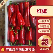 红椒江苏鲜辣椒红椒，大量现货供应，规格齐全，对接全国客商