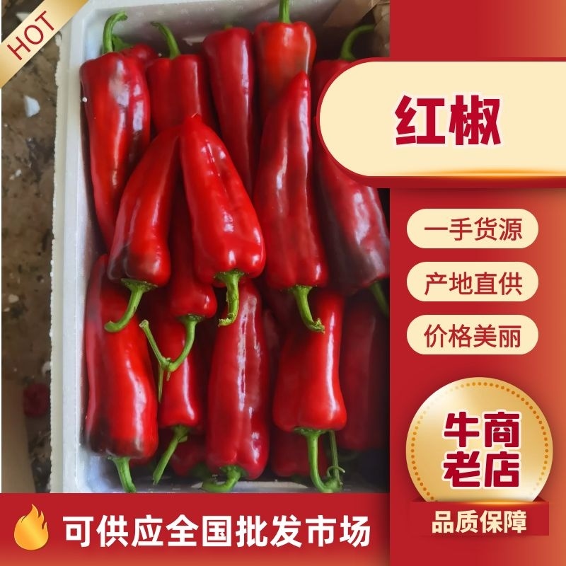 江苏红辣椒红椒，红泡椒大量现货供应，规格齐全，对接全国客商