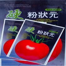 硬粉状元番茄种子果皮厚耐运输抗病耐寒无限生长不早衰