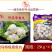 骏马特级章鱼丸麻辣烫关东煮火锅串串冒菜商用食材