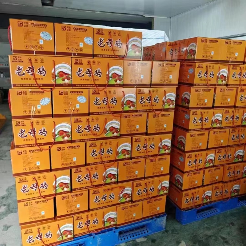 礼品装老母鸡(2只装)煎油炸烧烤半成品商用食材