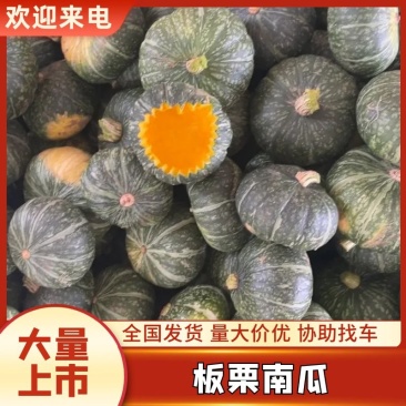 露天贝贝南瓜产地直发货源充足欢迎进店采购