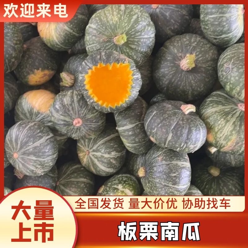 露天贝贝南瓜产地直发货源充足欢迎进店采购