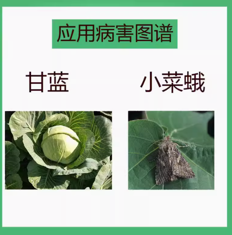 20%氯虫苯甲酰胺茚虫威水稻钻心虫食心虫棉铃虫菜青虫