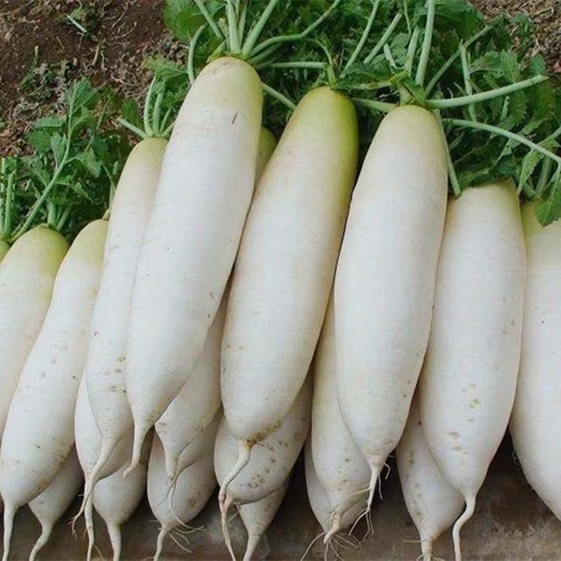基地加工厂直发货，质量杠杠的欢迎来电订购