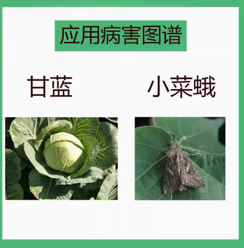 10%氯虫苯虱螨脲钻心虫小菜蛾菜青虫玉米螟杀虫剂