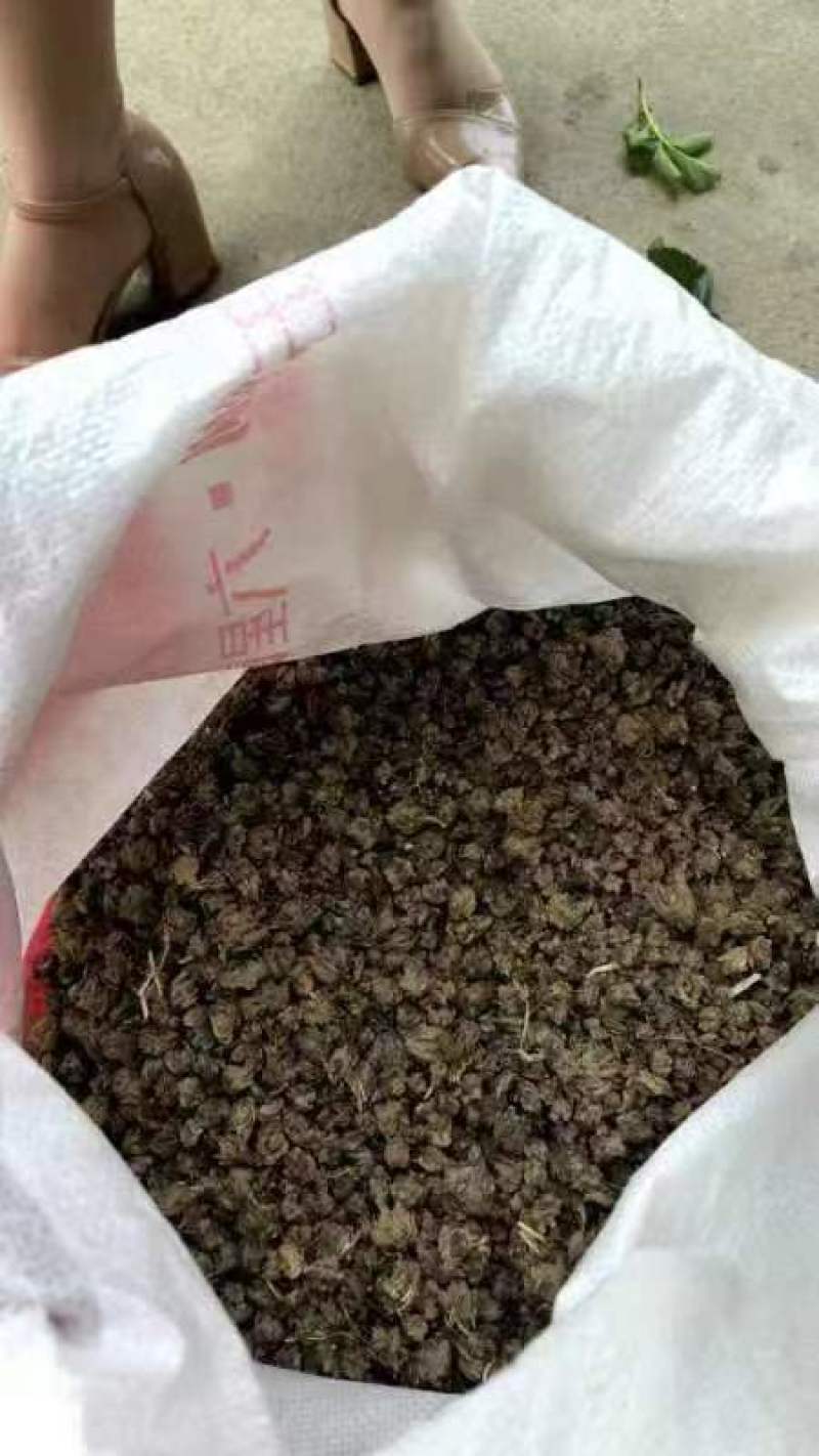 韩城大红袍花椒一件代发质量保证价格优惠规格齐全包邮