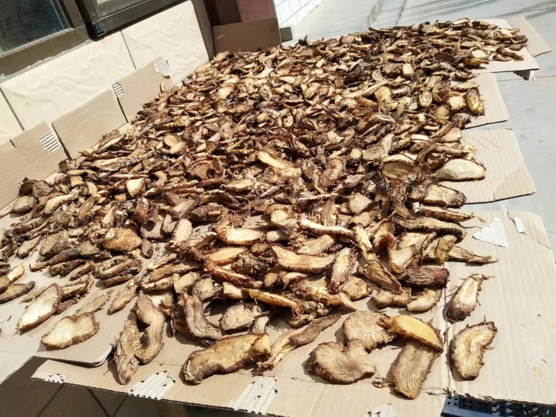 精品整根锁阳锁阳片质量保证品种纯正假一赔十