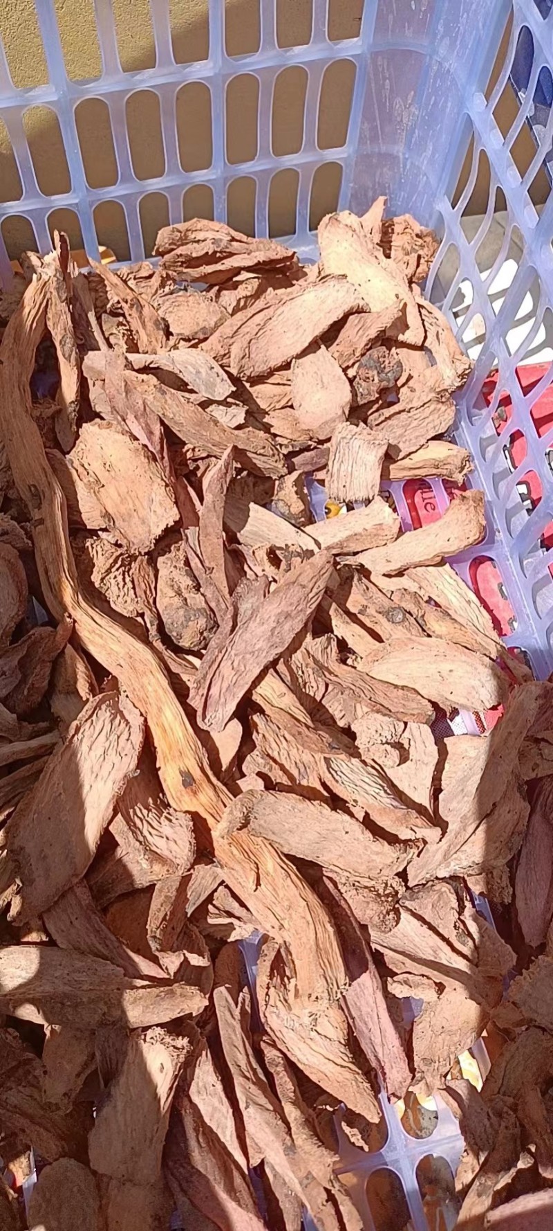 精品整根锁阳锁阳片质量保证品种纯正假一赔十