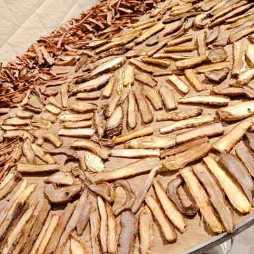 精品整根锁阳锁阳片质量保证品种纯正假一赔十