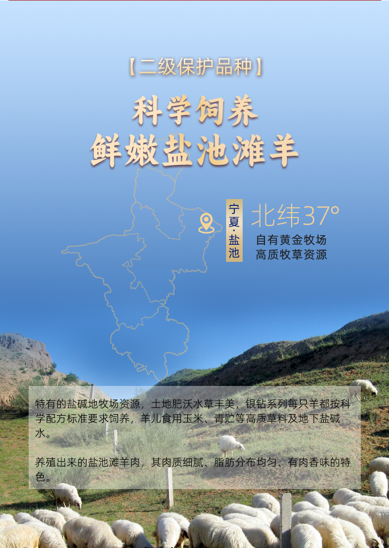 宁夏盐池滩羊肉半只羊三分体新鲜原切分割商用生鲜火锅食材烤