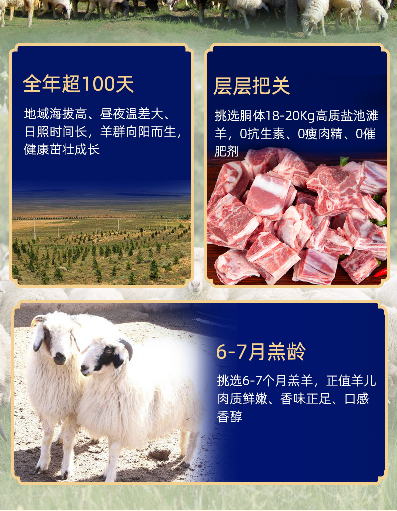 宁夏盐池滩羊肉半只羊三分体新鲜原切分割商用生鲜火锅食材烤
