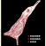 宁夏盐池滩羊肉半只羊三分体新鲜原切分割商用生鲜火锅食材烤