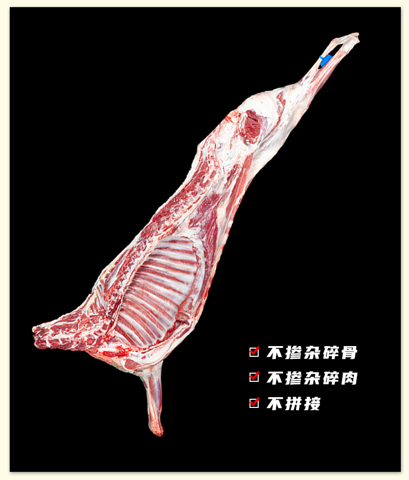 宁夏盐池滩羊肉半只羊三分体新鲜原切分割商用生鲜火锅食材烤