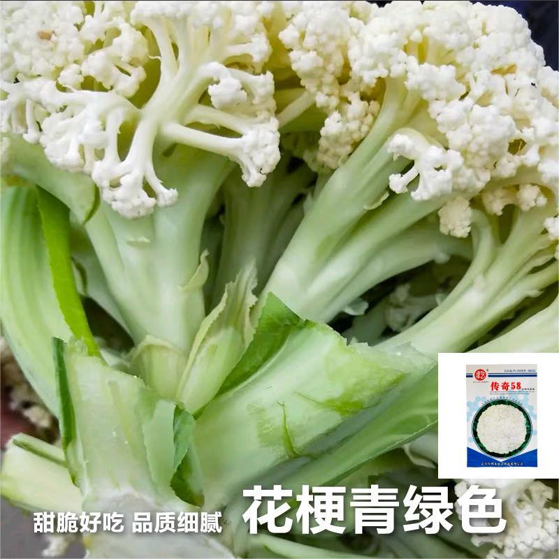 特早熟58天种植耐热基地优品春秋松花菜种子青梗花椰菜种