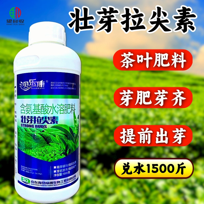 茶叶专用叶面肥茶叶催芽增厚素1000克茶叶壮芽拉尖素
