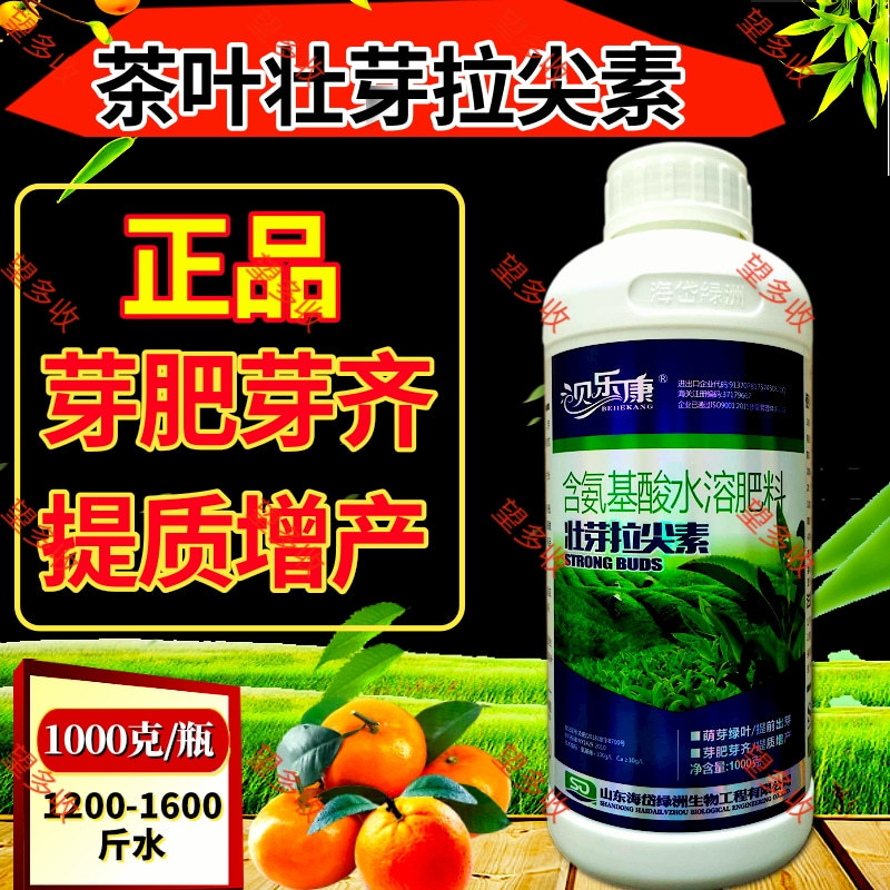 茶叶专用叶面肥茶叶催芽增厚素1000克茶叶壮芽拉尖素