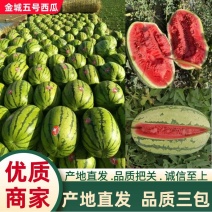 新疆西瓜，哈密西瓜，吐鲁番西瓜，昌吉西瓜金城5号