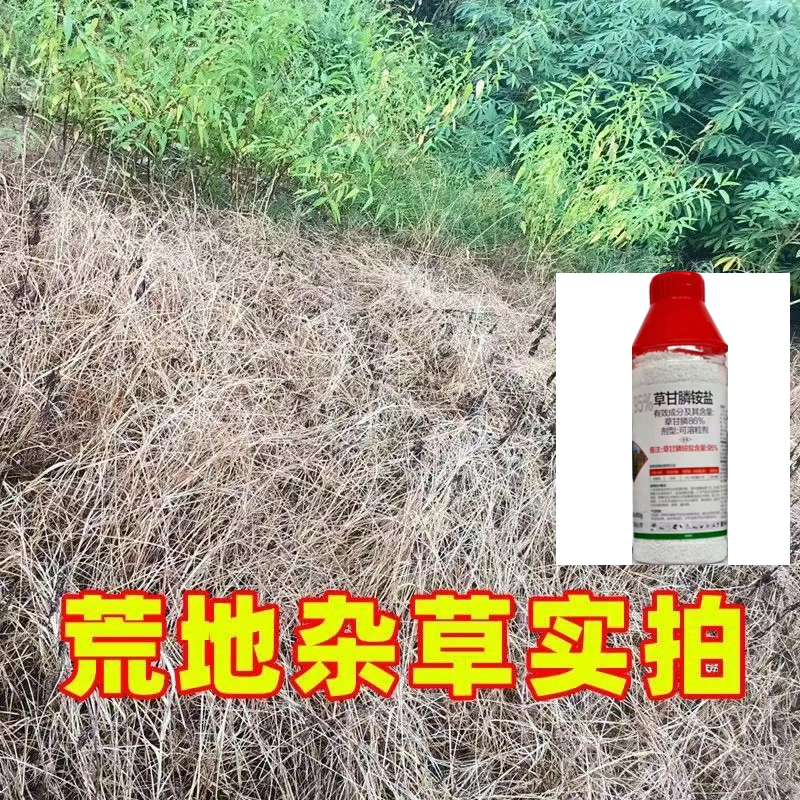 95%草甘膦铵盐除草剂果园荒地茶园专用杂草烂根正品