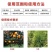 95%草甘膦铵盐除草剂果园荒地茶园专用杂草烂根正品