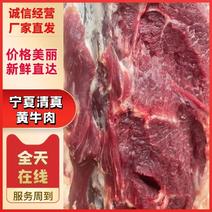 宁夏本地清真黄牛肉冷链运输全国发货2吨