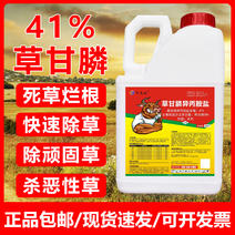 41%正品草甘膦异丙胺盐农药一扫除草烂根剂光除草剂荒地除