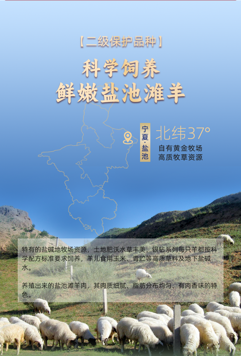 宁夏盐池滩羊肉整只羊六分体现杀羊羔新鲜去皮冷冻全羊烤全羊