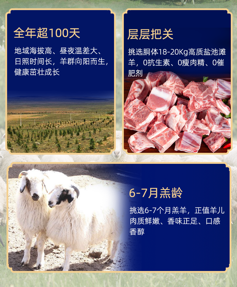 宁夏盐池滩羊肉整只羊六分体现杀羊羔新鲜去皮冷冻全羊烤全羊